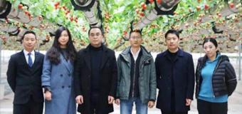 2019.1.7中糧集團商品部總經理劉安一行考察綠沃川洽談果蔬購銷合作